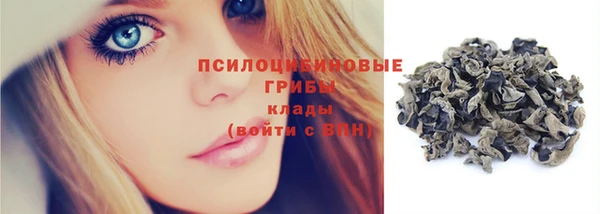 мяу мяу мука Мегион