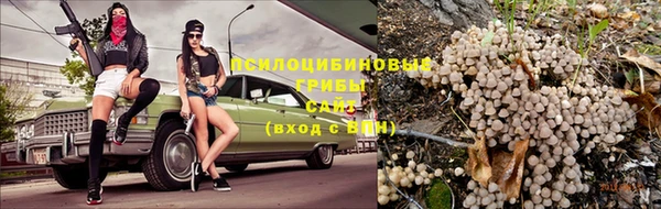 прущая мука Медногорск