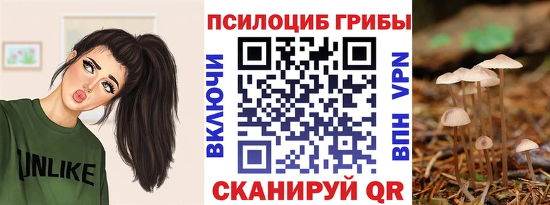darknet как зайти  Новый Оскол  Галлюциногенные грибы прущие грибы  купить наркотик 