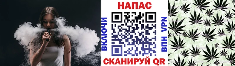 Марихуана SATIVA & INDICA  blacksprut маркетплейс  Новый Оскол 